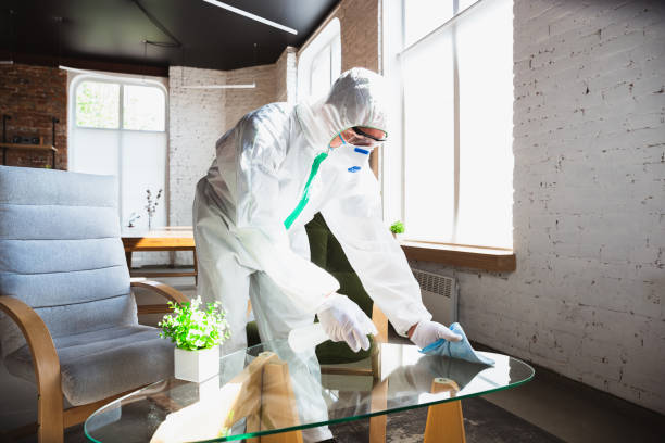 Reliable North Kansas City, MO Mold Removal Solutions